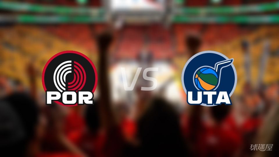 amp, 阵容 amp, 阵容